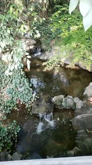 美妙夏季拼图
