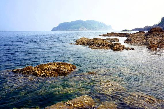 《如懿传》中魏嬿婉到最后都只是个皇贵妃，为什么她注定成不了皇后？游戏画面